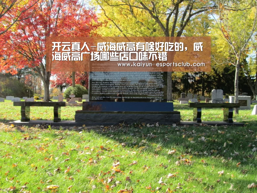 开云真人
